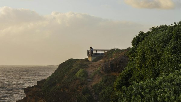 Plongée dans la Vie Quotidienne de Louis XIV à Versailles : Explorez l'Histoire Captivante du Roi Soleil